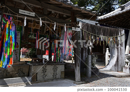 春天的春野神社 春天的春野神社 100041530