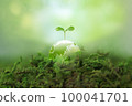 Sprouts grow on transparent earth. Environmental protection and image of sustainable society 100041701