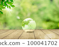 Transparent earth on forest background. Image of climate change and environmental protection 100041702