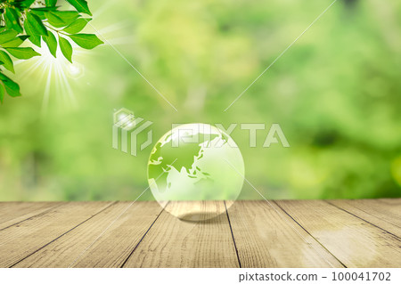Transparent earth on forest background. Image of climate change and environmental protection 100041702