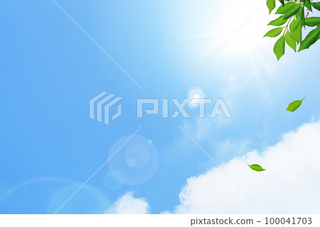 與清爽的陽光和紫外線的藍天背景。樹葉在風中飄揚 與清爽的陽光和紫外線的藍天背景。樹葉在風中飄揚 100041703
