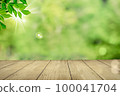 Tree leaves swaying in the wind on a wooden table. Image of coexistence with nature and natural materials 100041704