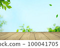 Tree leaves swaying in the wind against the blue sky on a wooden table. Image of natural materials and coexistence with nature 100041705