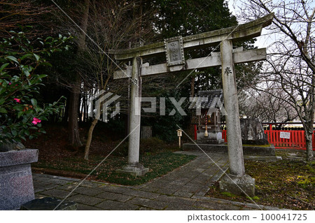 春天的春野神社 春天的春野神社 100041725