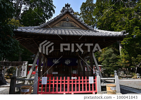 春天的春野神社 春天的春野神社 100041843
