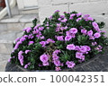 Landscape with plants 100042351
