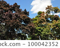 Landscape with plants 100042352