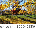 Landscape with plants 100042359