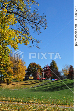 Landscape with plants 100042360