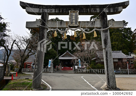 春天的春野神社 春天的春野神社 100042692