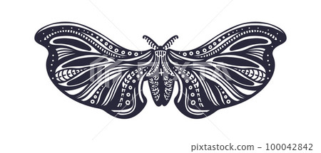 Vector butterfly, graphic moth, insect. Art tattoo 100042842