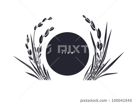 Rice template. Vector paddy field, grains. Graphic 100042848
