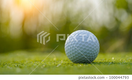 Green grass with golf ball closeup in soft focus when sunlight Playground for golf course concept Green grass with golf ball closeup in soft focus when sunlight Playground for golf course concept 100044793
