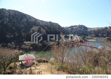 Scenic Beauty: Tsukigase Plum Grove / Tsukigase Bridge [Tsukigase, Nara City] 100046042