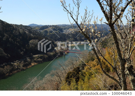 Scenic Beauty: Tsukigase Plum Grove / Tsukigase Bridge [Tsukigase, Nara City] 100046043