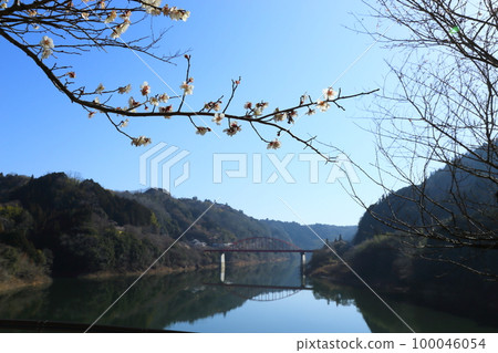 Scenic Beauty: Tsukigase Plum Grove / Tsukigase Bridge [Tsukigase, Nara City] 100046054