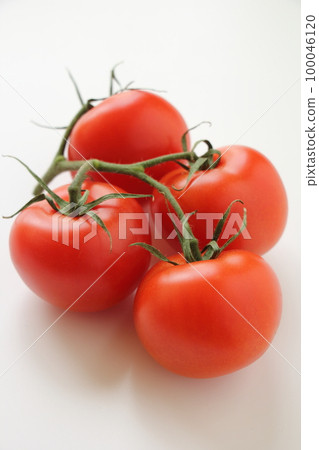 Tufted Tomato (Round Red) Tufted Tomato (Round Red) 100046120