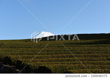 Collaboration between snow-capped Mt. Fuji and Obuchi Sasaba 100046375