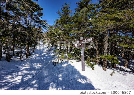 北橫岳冬季步道 100046867