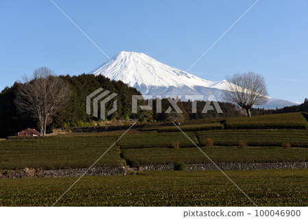 Collaboration between snow-capped Mt. Fuji and Obuchi Sasaba 100046900
