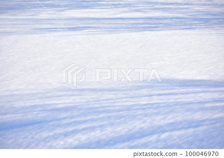 snow snow 100046970