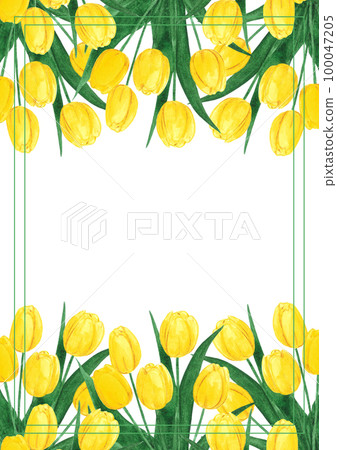 Hand drawn watercolor yellow tulips flowers bouquet. Isolated on white background. Scrapbook, post card, banner, lable, poster. Hand drawn watercolor yellow tulips flowers bouquet. Isolated on white background. Scrapbook, post card, banner, lable, poster. 100047205