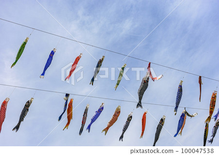 藍天、櫻花和鯉魚旗山形縣白鷹鎮 藍天、櫻花和鯉魚旗山形縣白鷹鎮 100047538