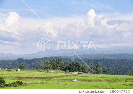 Tsunan Town, Niigata Prefecture Uonuma Koshihikari Rice Fields and Natural Scenery in Summer Tsunan Town, Niigata Prefecture Uonuma Koshihikari Rice Fields and Natural Scenery in Summer 100047753