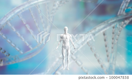 The white muscle model on Dna background for sci or health and medical concept 3d rendering 100047838