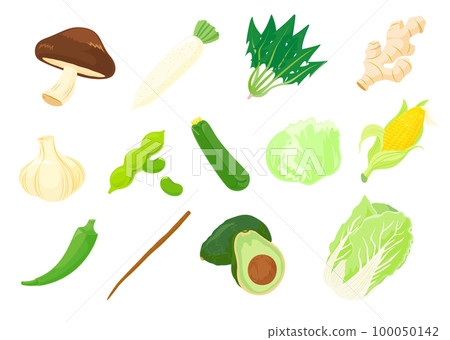 Illustration shiitake mushroom, radish, spinach, ginger, garlic, edamame, zucchini, lettuce, avocado, Chinese cabbage, burdock, okra 100050142