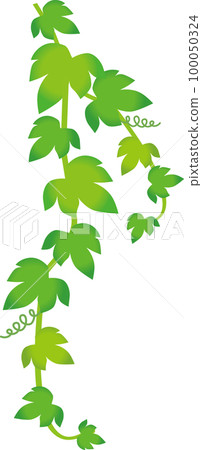 green foliage green foliage 100050324