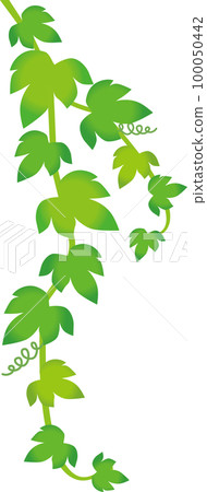 Green leaves 100050442