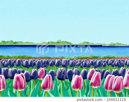 鬱金香花田,粉色的花,藍色的花,AI插畫 鬱金香花田,粉色的花,藍色的花,AI插畫 100051119