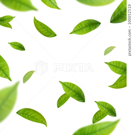 Realistic green tea leaves in motion 100052519