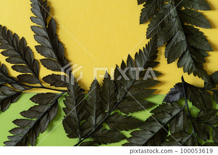 leather fan leaf 100053619