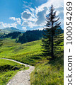 Narrow path in the Swizz Alps with beautiful view 100054269