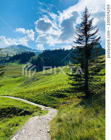 Narrow path in the Swizz Alps with beautiful view Narrow path in the Swizz Alps with beautiful view 100054269