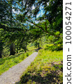 Narrow path in the Swizz Alps with beautiful view 100054271