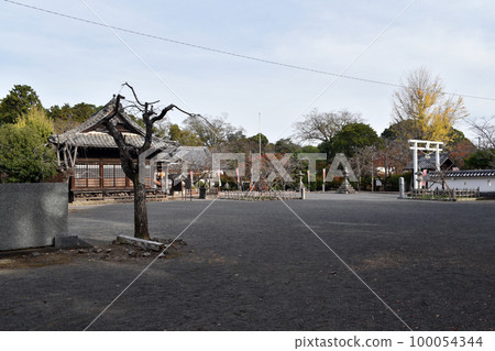 Omura Castle Honmaru Ruins Omura Castle Honmaru Ruins 100054344