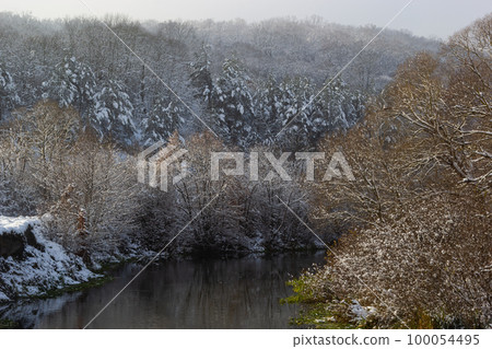 winter river, trees in the snow, view of the snow-covered forest winter river, trees in the snow, view of the snow-covered forest 100054495