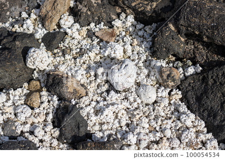 Popcorn beach, Corralejo, Fuerteventura, Spain 100054534