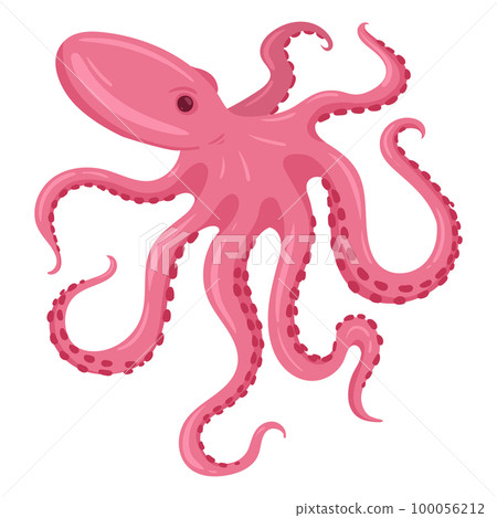 Cartoon octopus. Aquatic animal character, ocean fauna creature with tentacles flat vector illustration 100056212