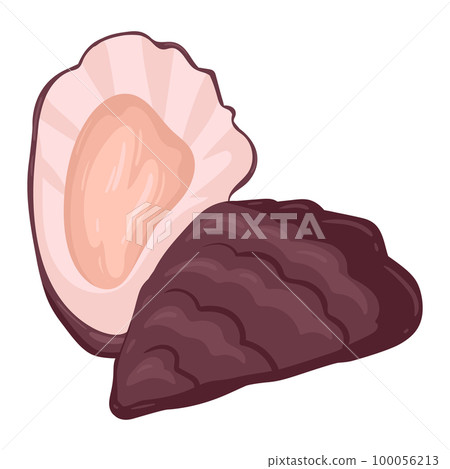 Cartoon oyster shell. Aquatic clam animal, ocean fauna oyster, healthy sea food flat vector illustration 100056213