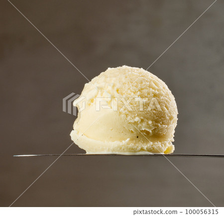 vanilla ice cream vanilla ice cream 100056315
