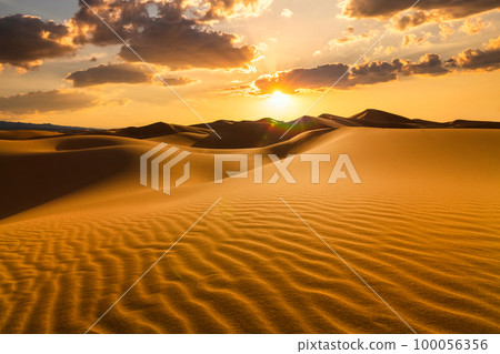 Beautiful sunset over the sand dunes in the Arabian Empty Quarter Desert. UAE 100056356