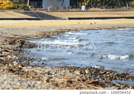 Nagisa Park Sunshine Beach beach 100056432