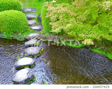 夏季日本花園 夏季日本花園 100057429