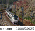 Kairakuen Plum Blossoms and the Joban Line Limited Express 100058025