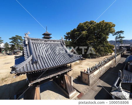 四國88參拜寺第75號Fudasho善通寺五層塔[香川縣善通寺市] 6 100058806
