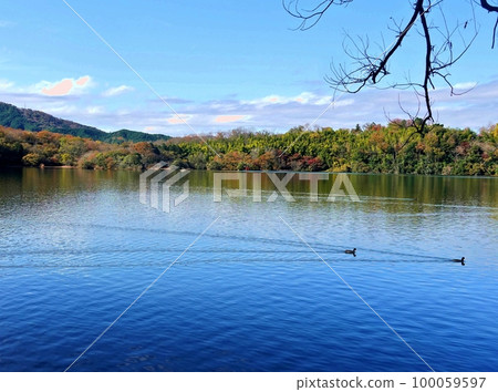 Winter is approaching on the lakeside of Izu Hitomi Winter is approaching on the lakeside of Izu Hitomi 100059597